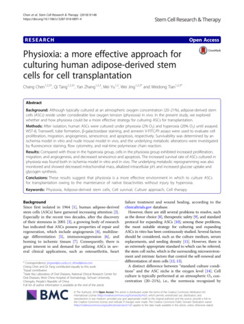 Physioxia: A More Effective Approach For Culturing Human Adipose .