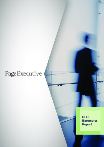 CFO Report - Page Executive