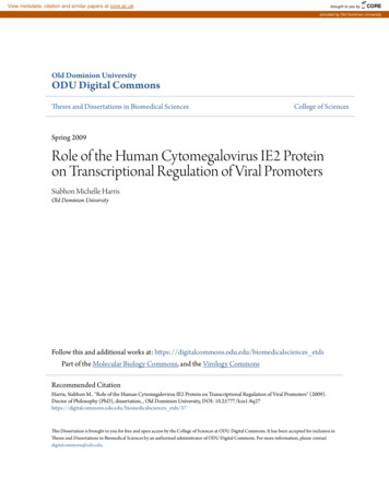Role Of The Human Cytomegalovirus IE2 Protein On Transcriptional . - CORE