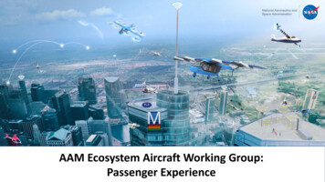 AAM Ecosystem Aircraft Working Group: Passenger Experience