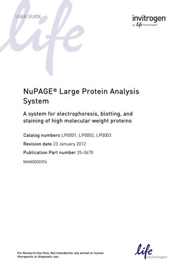 Large Protein Separation System Manual - Fisher Sci
