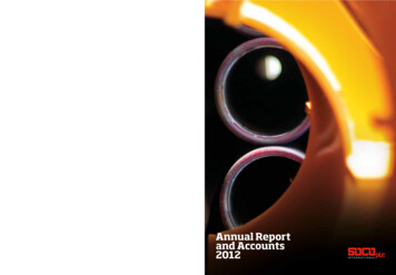 Annual Report And Accounts 2012