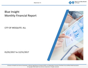 Blue Insight Monthly Financial Report - City Of Mesquite