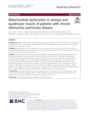 Mitochondrial Dysfunction In Airways And Quadriceps Muscle Of Patients .