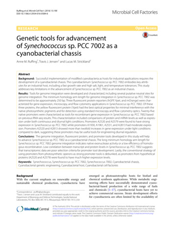 Genetic Tools For Advancement Of Synechococcus Sp. PCC 7002 As A .