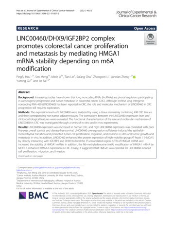 LINC00460/DHX9/IGF2BP2 Complex Promotes Colorectal Cancer Proliferation .