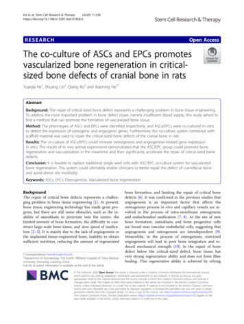 The Co-culture Of ASCs And EPCs Promotes Vascularized Bone Regeneration .