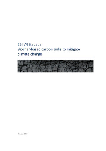 EBI Whitepaper Biochar-based Carbon Sinks To Mitigate Climate Change