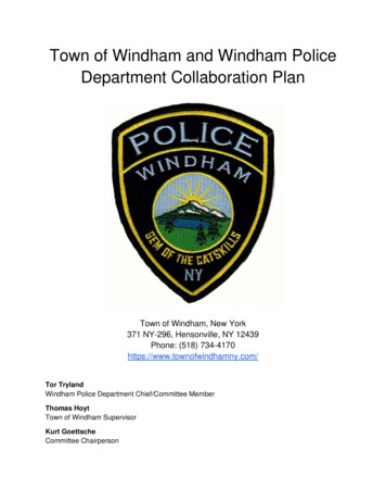 Town Of Windham And Windham Police Department Collaboration Plan