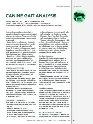 CANINE GAIT ANALYSIS - Today's Veterinary Practice