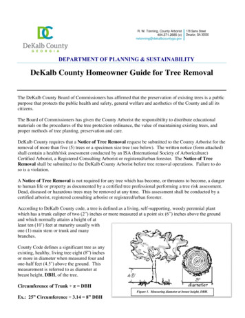 DeKalb County Homeowner Guide For Tree Removal