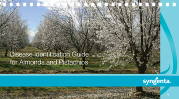 Disease Identification Guide For Almonds And Pistachios - Syngenta US