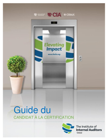 Guide Du - Institute Of Internal Auditors