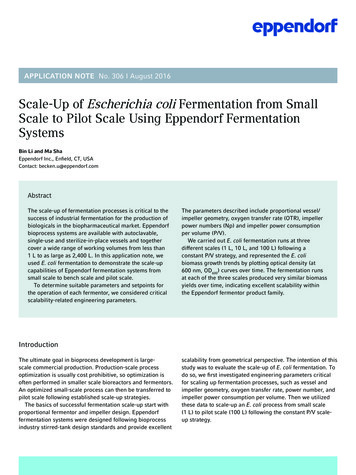Scale-Up Of Escherichia Coli Fermentation From Small Scale . - Eppendorf