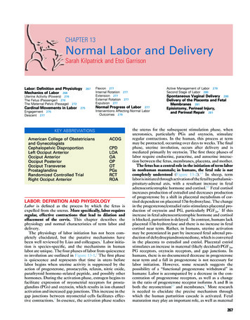 Chapter 13 - Normal Labor And Delivery