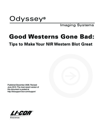 Good Westerns Gone Bad: Tips To Make Your NIR Western Blot Great