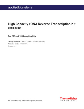 High Capacity CDNA Reverse Transcription Kit - Thermo Fisher Scientific