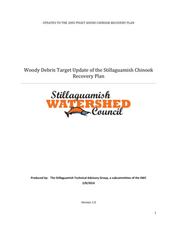 Woody Debris Target Update Of The Stillaguamish Chinook Recovery Plan