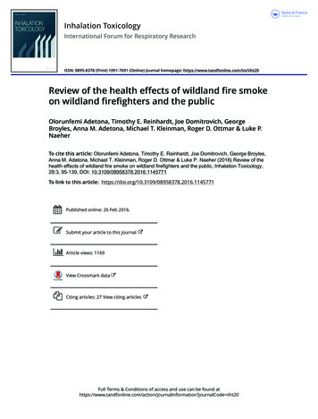 Review Of The Health Effects Of Wildland Fire Smokeon Wildland .