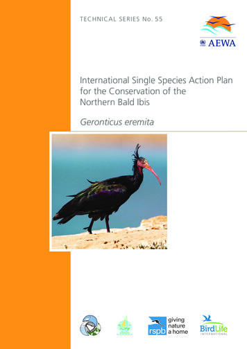 International Single Species Action Plan For The Conservation Of The .