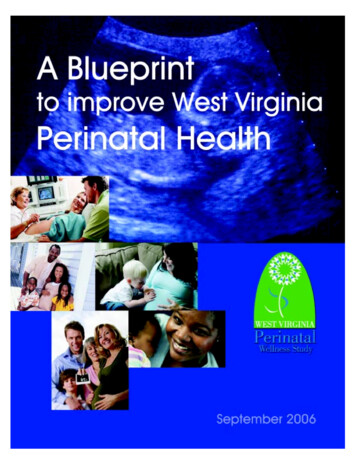 A Blueprint To Improve West Virginia Perinatal Health - WV Healthy Kids
