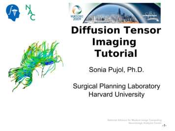 Diffusion Tensor Imaging Tutorial - 3D Slicer