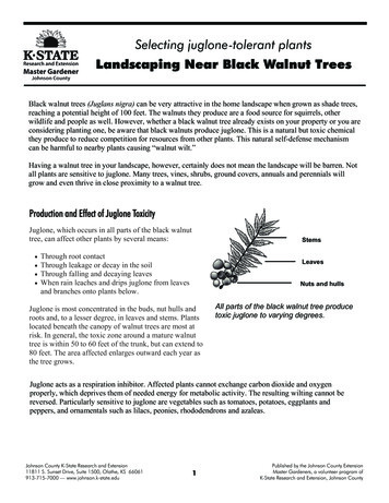 Selecting Juglone-tolerant Plants Landscaping Near Black Walnut Trees