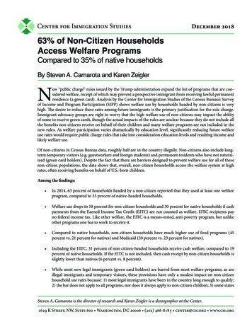 63% Of Non-Citizen Households Access Welfare Programs
