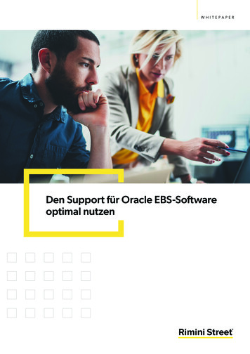 Den Support Für Oracle EBS-Software Optimal Nutzen - Rimini Street