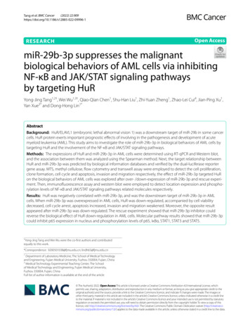 MiR-29b-3p Suppresses The Malignant Biological Behaviors Of AML Cells .