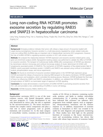 Long Non-coding RNA HOTAIR Promotes Exosome Secretion By Regulating .