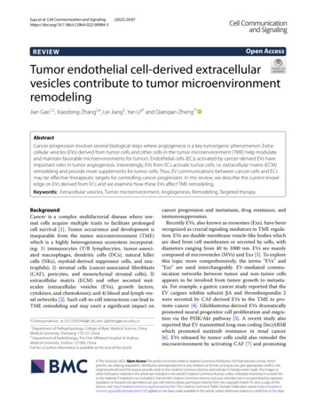 Tumor Endothelial Cell-derived Extracellular Vesicles Contribute To .