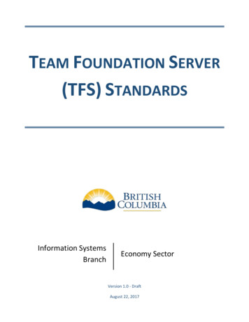 Team Foundation Server (TFS) Standards