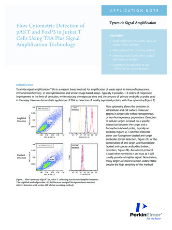 Flow Cytometric Detection Of PAKT And FoxP3 In Jurkat T Cells Using TSA .