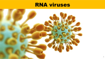 RNA Viruses - BIOONO