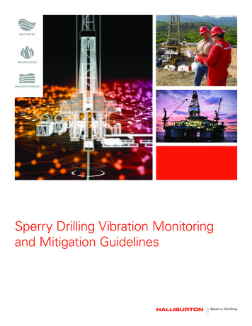 Sperry Drilling Vibration Monitoring And Mitigation Guidelines