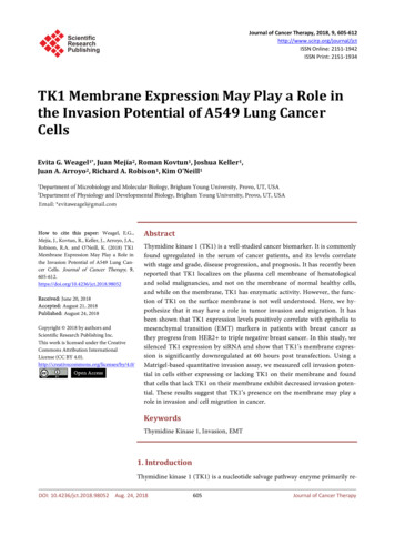 TK1 Membrane Expression May Play A Role In The Invasion Potential Of .