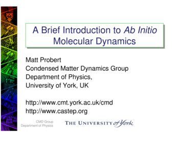 A Brief Introduction To Ab Initio Molecular Dynamics