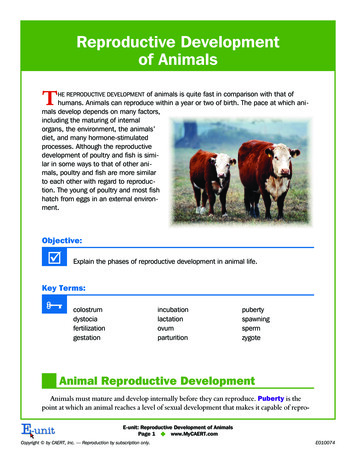 Reproductive Development Of Animals - Agriculture With Mrs. Skien