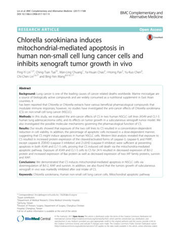 Chlorella Sorokiniana Induces Mitochondrial-mediated Apoptosis In Human .