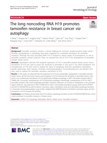 The Long Noncoding RNA H19 Promotes Tamoxifen Resistance In Breast .