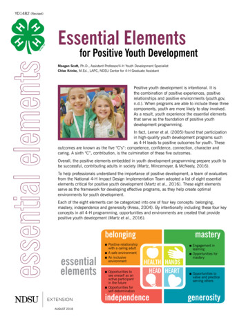 Essential Elements For Positive Youth Development