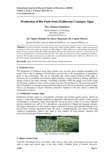 Production Of Bio Fuels From Eichhornia Crassipes Algae