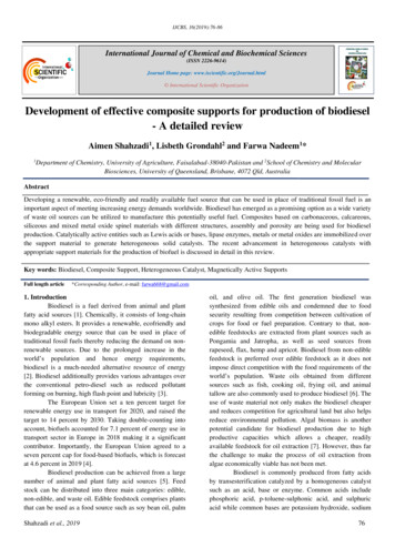 Development Of Effective Composite Supports For Production Of Biodiesel .