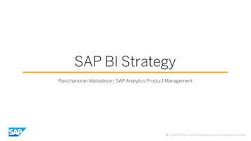 SAP BI Strategy
