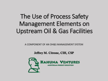 PROCESS SAFETY MANAGEMENT - Aiha-rms 