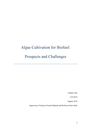 Algae Cultivation For Biofuel: Prospects And Challenges - CORE