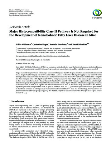Research Article Major Histocompatibility Class II Pathway Is . - Hindawi