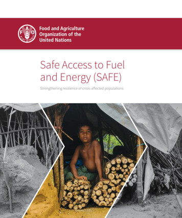 Safe Access To Fuel And Energy ( SAFE) - Fao 