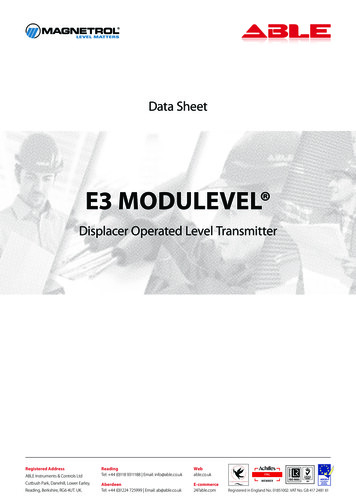 E3 Modulevel BE48-106 - ABLE Instruments & Controls